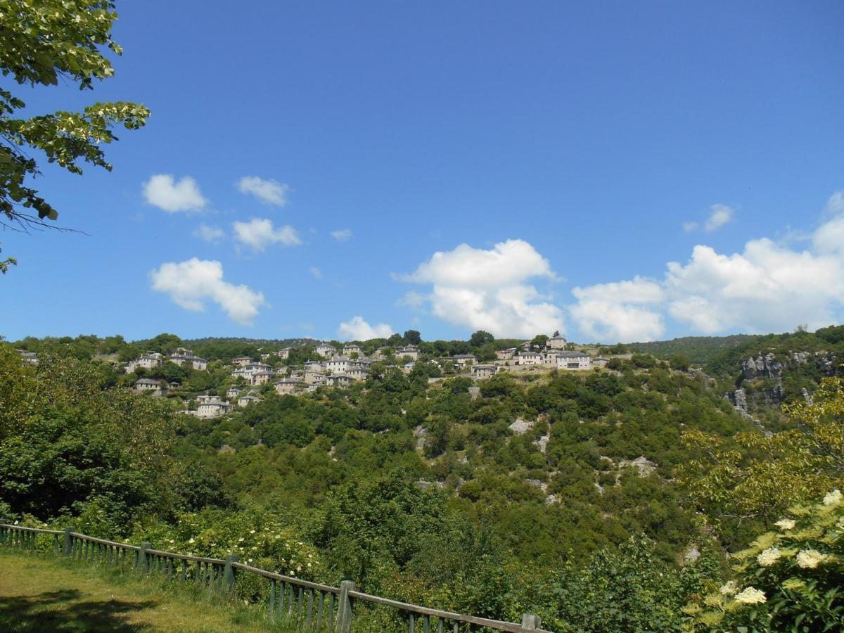 Archontiko Evridikis Hotel Vitsa Buitenkant foto